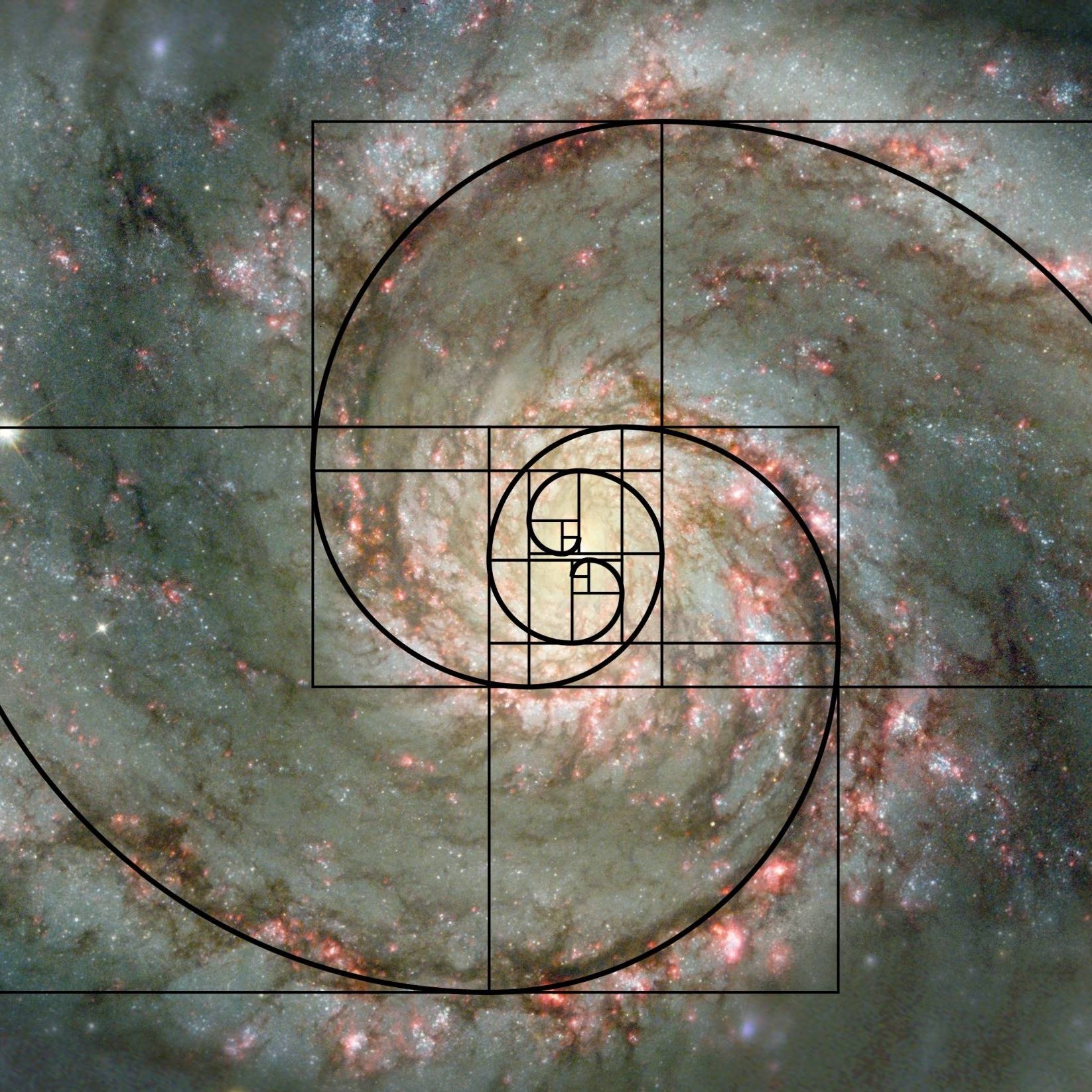 Golden Ratio | Fibonachchi